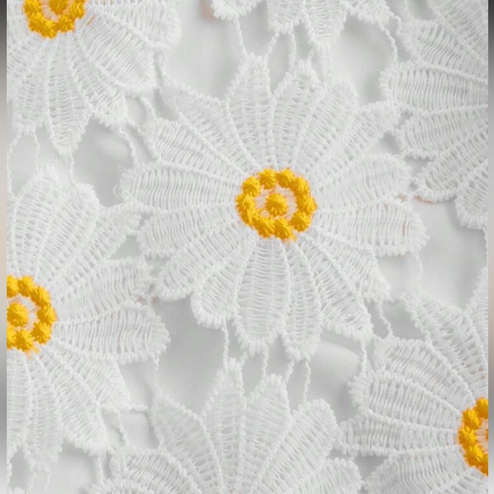 🌻 PLUS Lace Skirt 🌻 - Picture 3 of 5